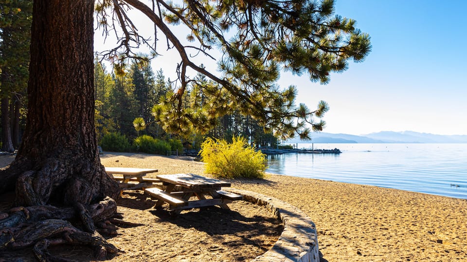 A lakeside picnic area with a stone bench, pine trees, and a clear sky.