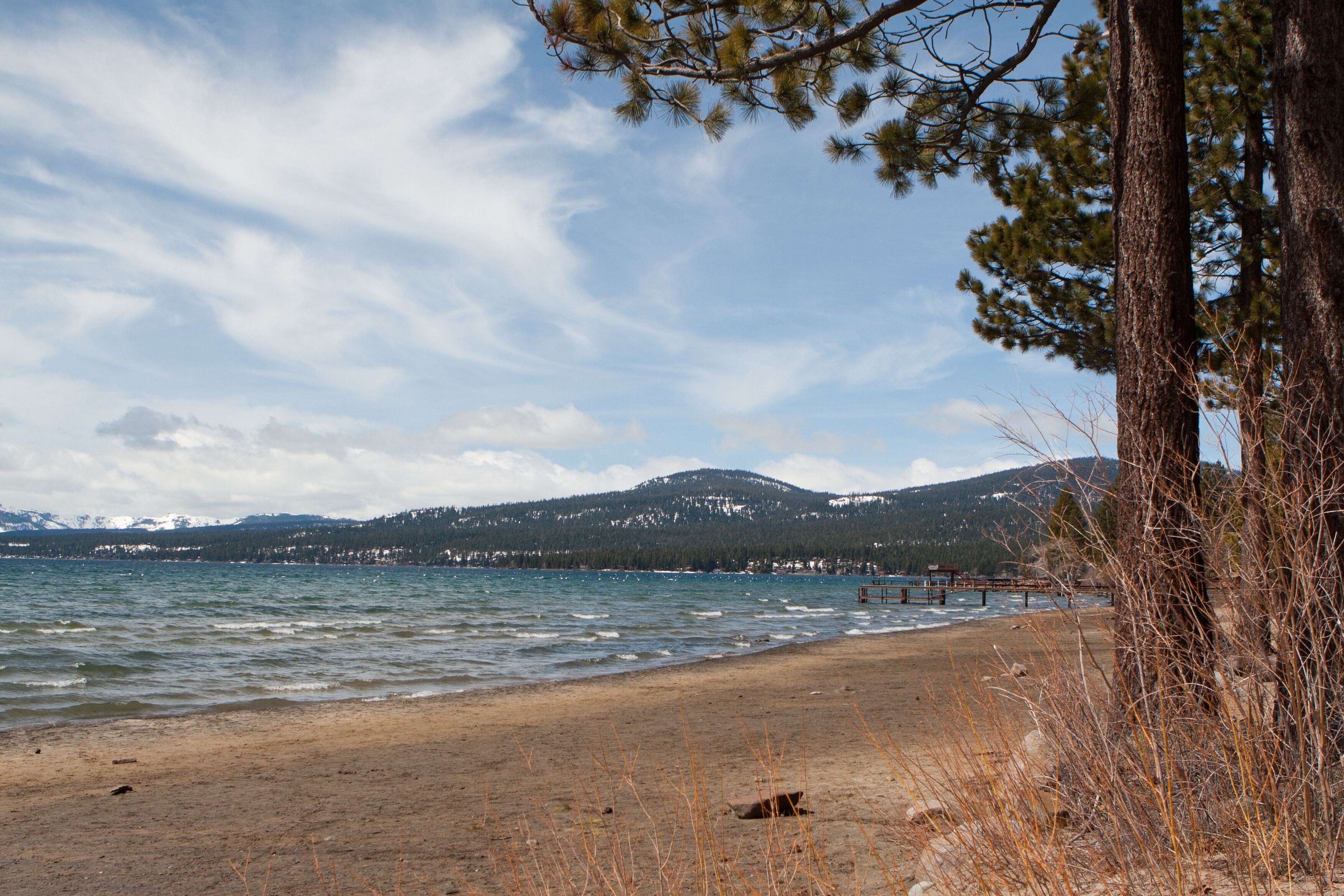 A beach with a forest in the foreground, a pier extending into the water, and mountains in the background.