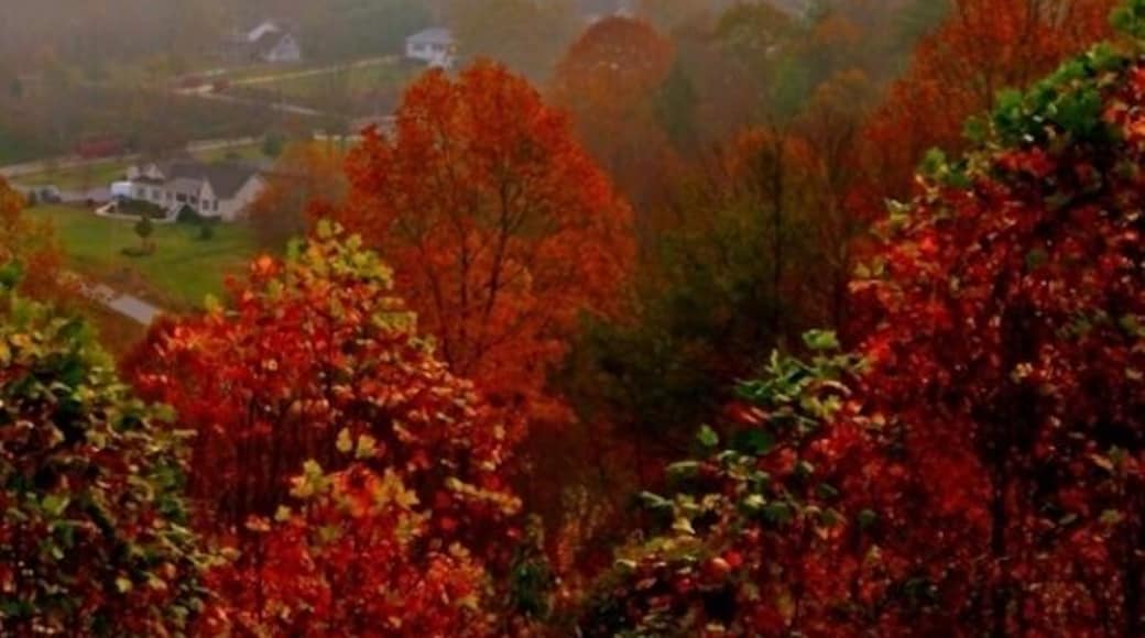 Beautiful Autumn day with early morning fog