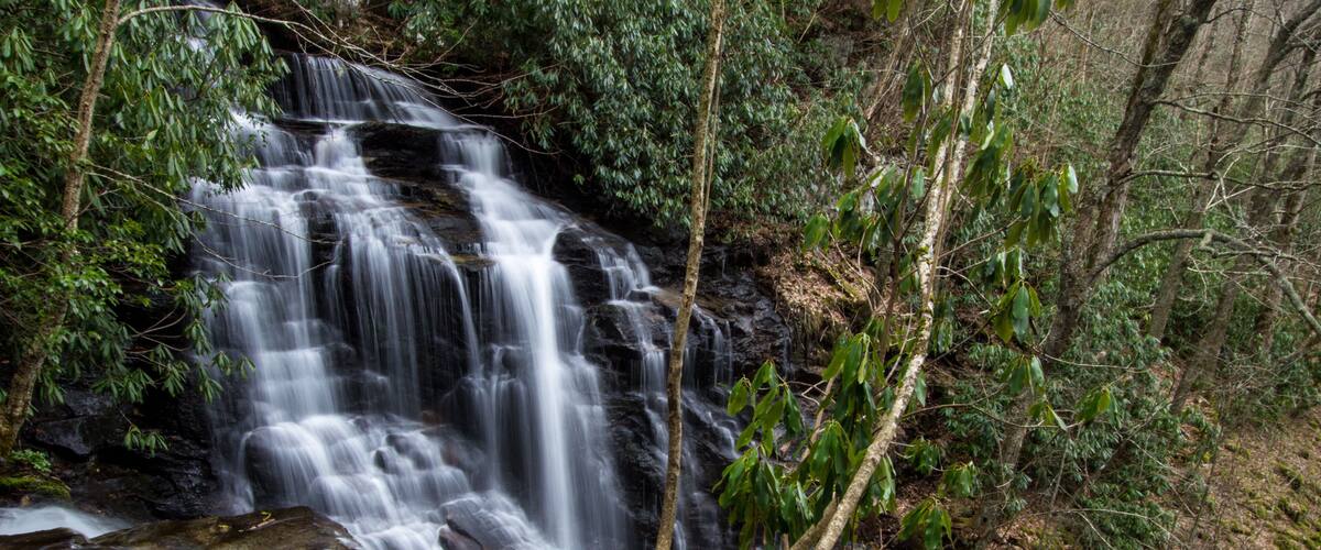 Une cascade entourée d’une forêt dense.