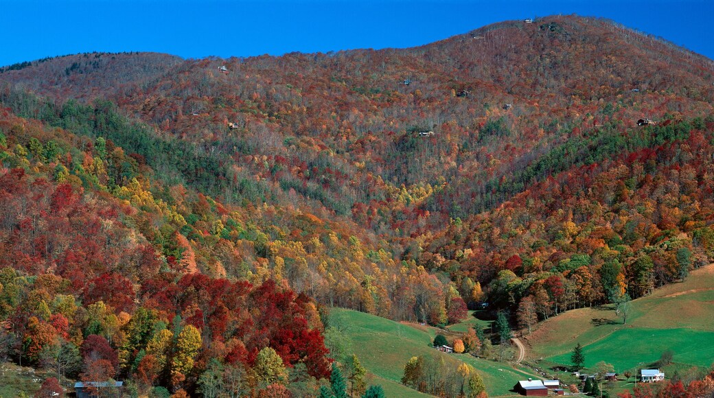 Maggie Valley, Great Smokey National Park, North Carolina