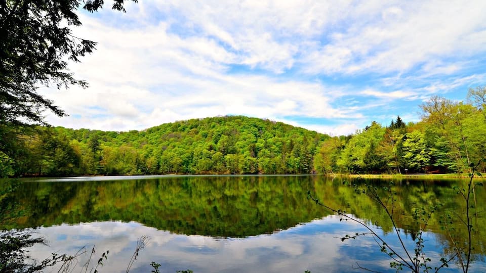 When visiting Woodstock, Vermont, one not-to-miss outdoor attraction is the Marsh - Billings - Rockefeller National Historical Park, the first National Park in Vermont. The site is full of ambient trails with different atmospheres, whether you want to summit a mountain, run through a field or picnic on a lovely lake. Here you see The Pogue, a 14-acre (6-hectare) lake, featuring mountain reflections and beautiful Great Blue herons hungry for bass fish. For me, this spot was pure heaven in Vermont. #travel #AmazonDestinations #spon