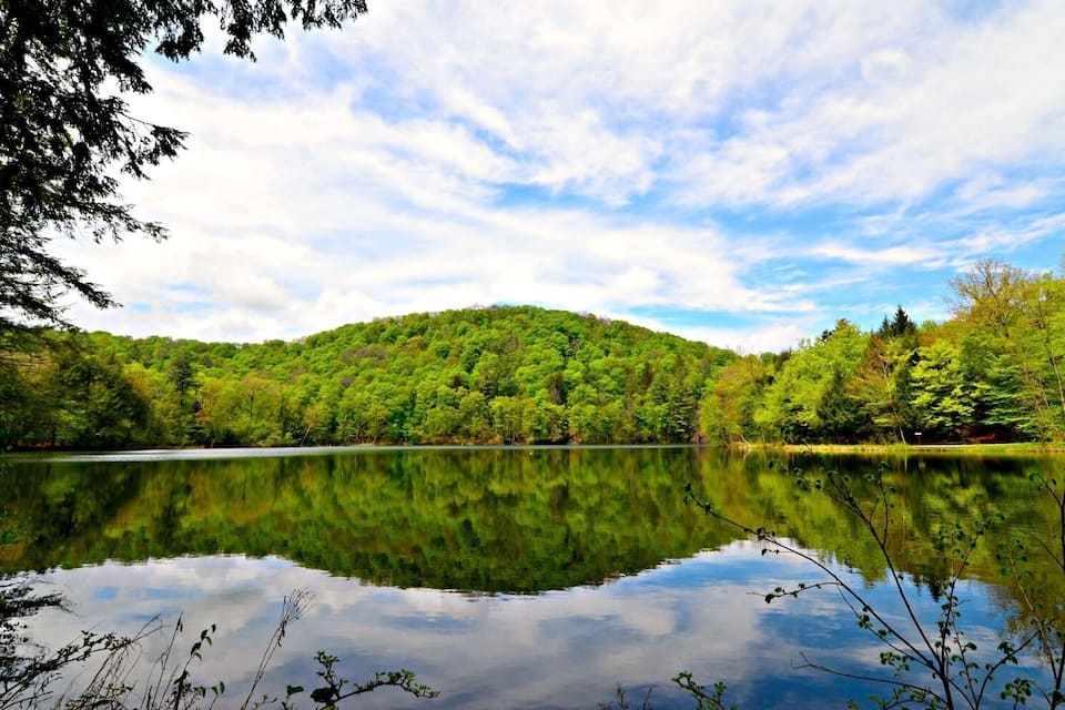 Un lago tranquilo rodeado de un bosque verde frondoso y un cielo despejado.