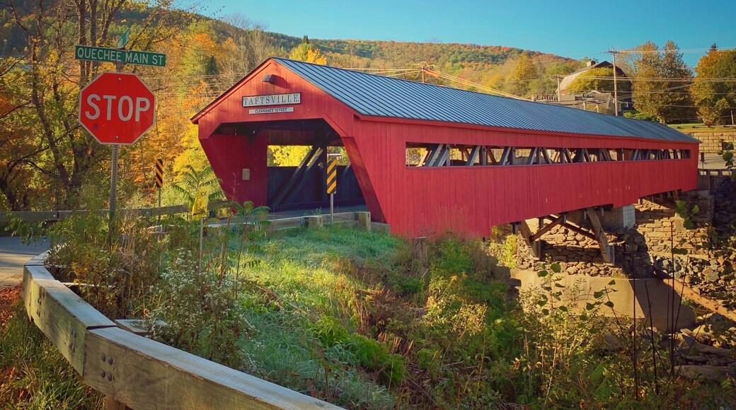 Covered bridge
#autumn #fallfoliage