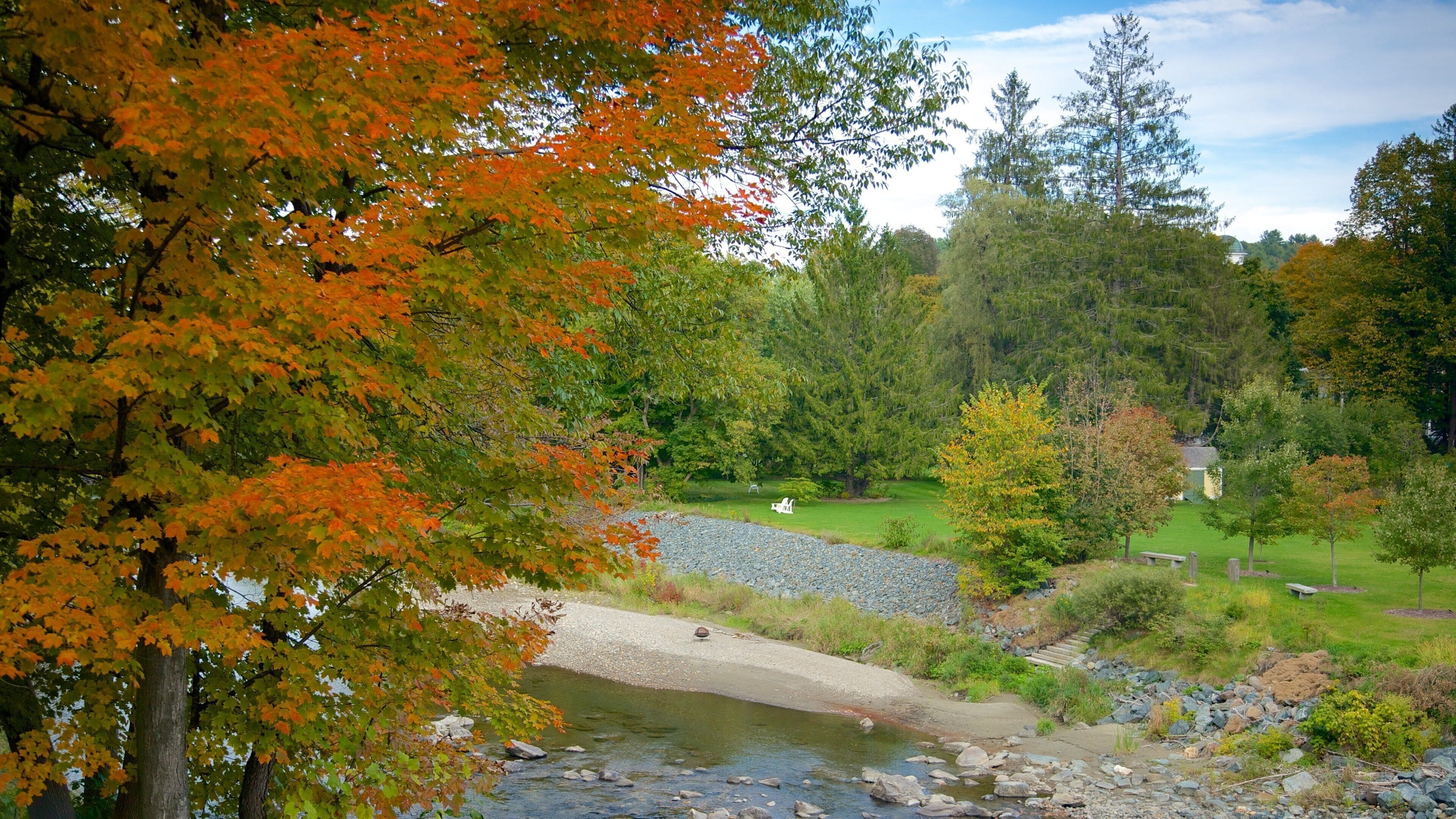 Woodstock qui includes rivière ou ruisseau et jardin