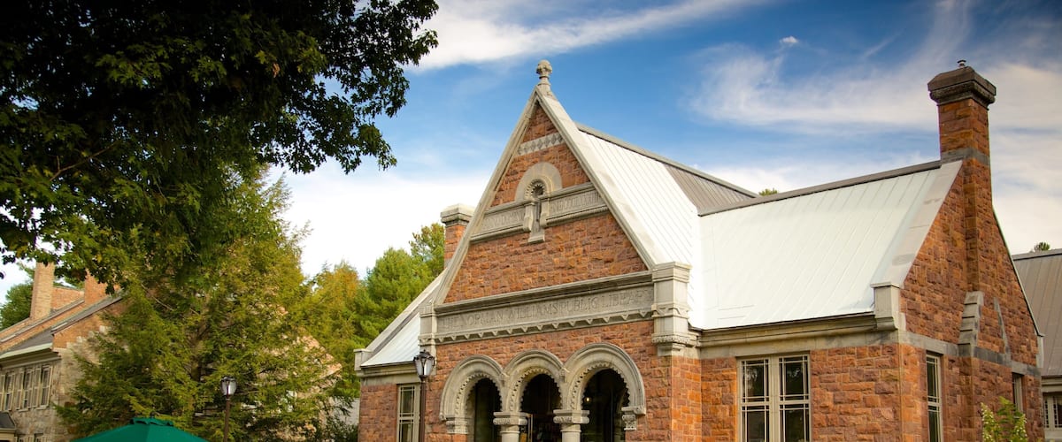 Woodstock showing heritage architecture