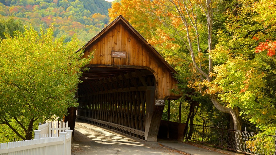 Woodstock welches beinhaltet Brücke