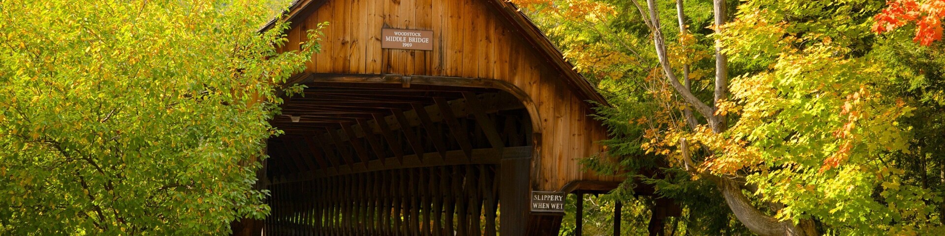 Woodstock showing a bridge