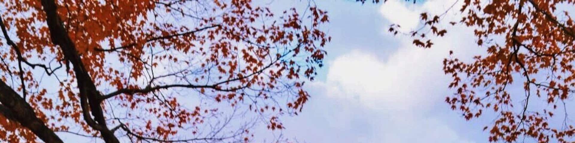 SLEEPY HOLLOW FARM- To visit Vermont in the Fall was a dream of mine. I am so happy that I was able to do just that this year. One of the places I visited was this photographic icon in rural Vermont, the Sleepy Hollow Farm, near Woodstock. Well known by most photographers the Sleepy Hollow Farm is the place to be if you want to get that perfect classic Autumn shot and an early morning light is best to be there to capture rich deep autumn colours. Rumors has it that it was once owned by Joe Perry of Aerosmith. Perry and his wife of 30 years, Billie, bought the property and they'd often bring their horses there from their home outside Boston. #ilovermont #ScenesofNewEngland #vermontbyvermonters #colorful #autumn #fall #roadtrip #travel #adventure #fallfoliage #historic #vermont #Bestof5