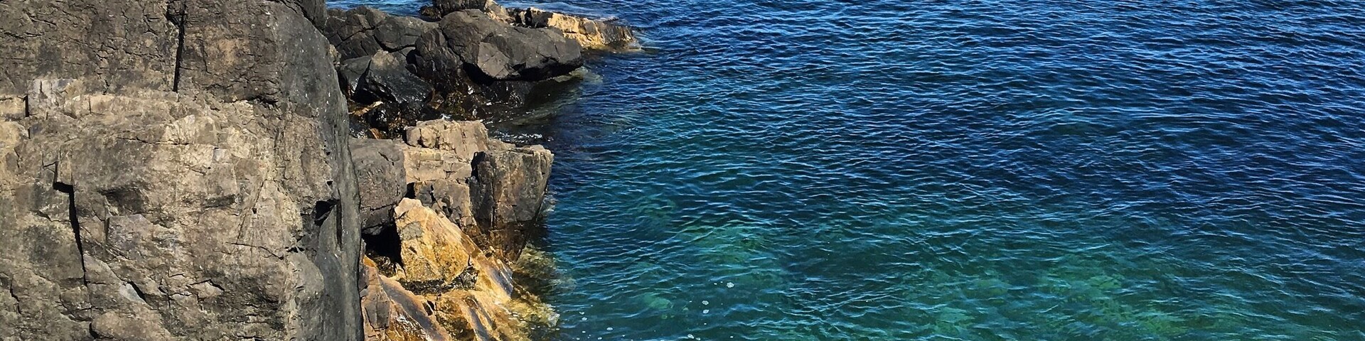 The Bush Compound