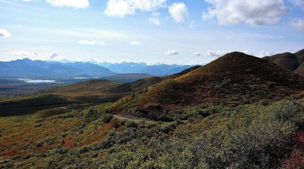 This was a nice and easy ATV ride, loved up there.