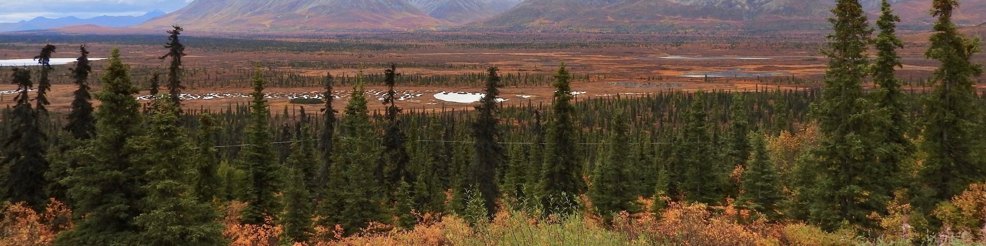 The amazing Fall colours near Tolsona along the Glenn Highway in Alaska.
#Alaska
#GreatOutdoors #Nature