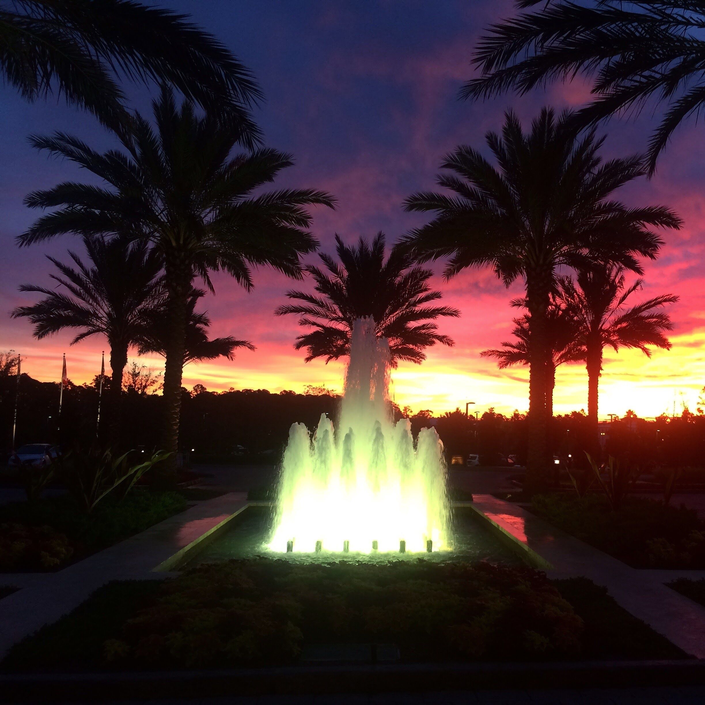 #adventure #florida #fourseasonsorlando #borntoexplore #wanderingwidower