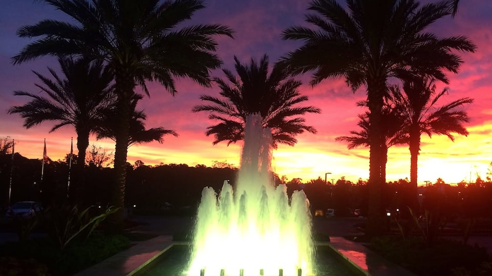 #adventure #florida #fourseasonsorlando #borntoexplore #wanderingwidower