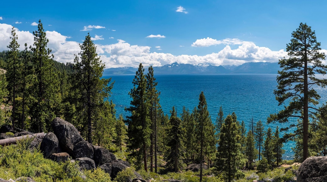 Tahoe Vista