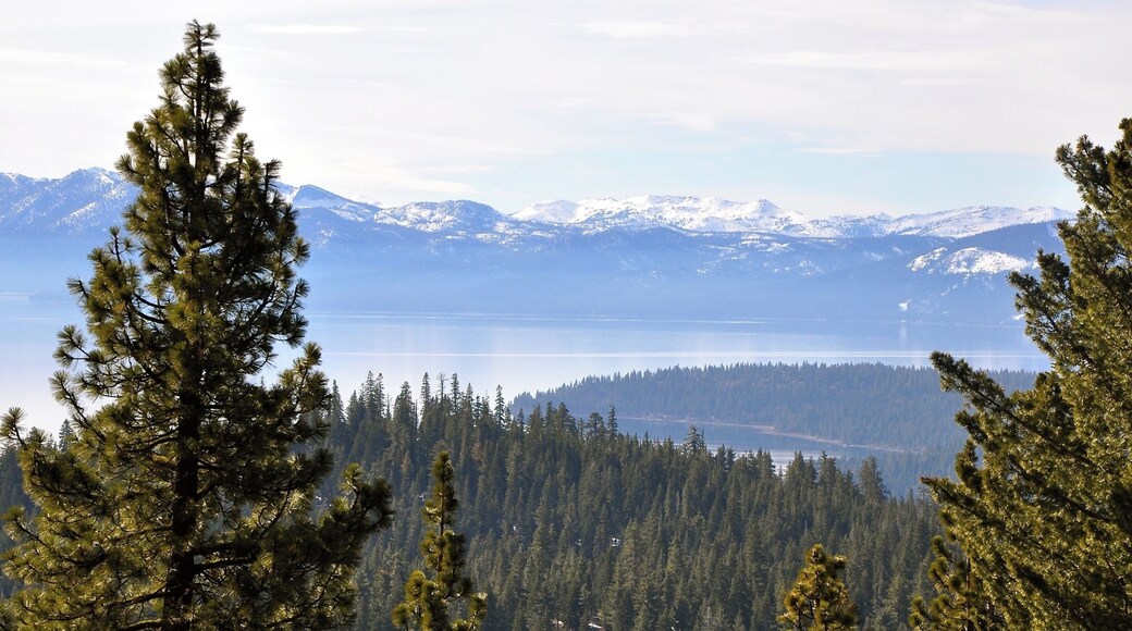 February 1st, and snow is sparse in Tahoe. We parked at the Brockway Summit Parking, but crossed the road and headed up the mountain on Spur Trail. It was warm and quiet.
About a 2 mile hike up to the vista point, and the view was not disappointing! Gorgeous lake and the company of good friends.