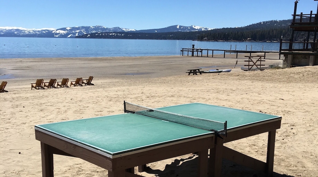 Beach Ping Ping anyone???