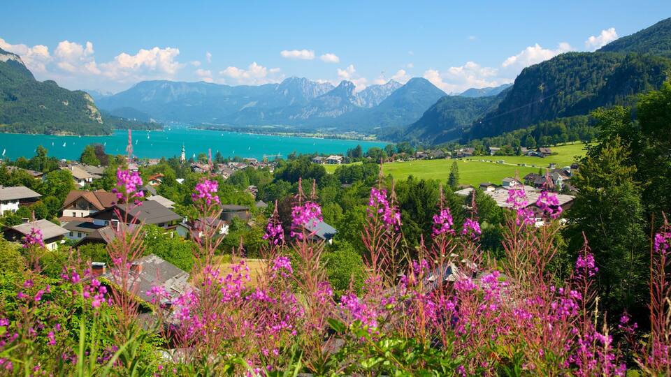 A scenic view of a lake surrounded by mountains, houses, and blooming purple flowers.