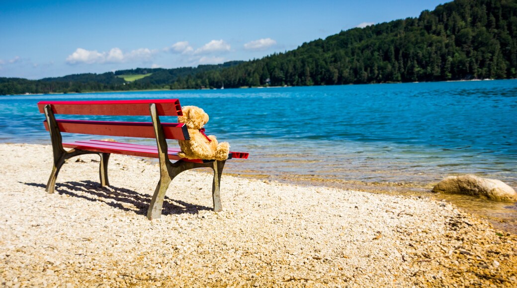 Fuschl am See