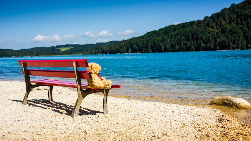 A red bench with a teddy bear on it, a pebble beach, and a lake with a forested hill in the background.