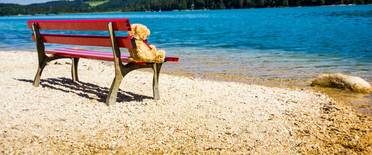 A red bench with a teddy bear on it, a pebble beach, and a lake with a forested hill in the background.