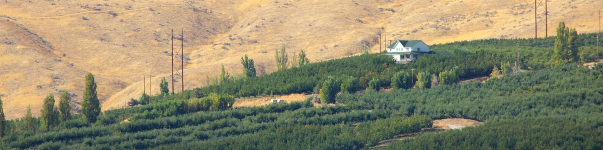 Wenatchee showing tranquil scenes and farmland