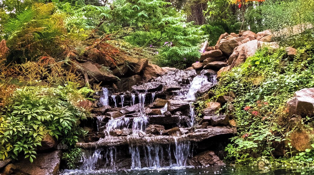 As many times as I go back looking at the images of this place, I always manage to find something enchanting and astonishing. The astonishing part comes from the fact that one man and his wife built the entire thing.