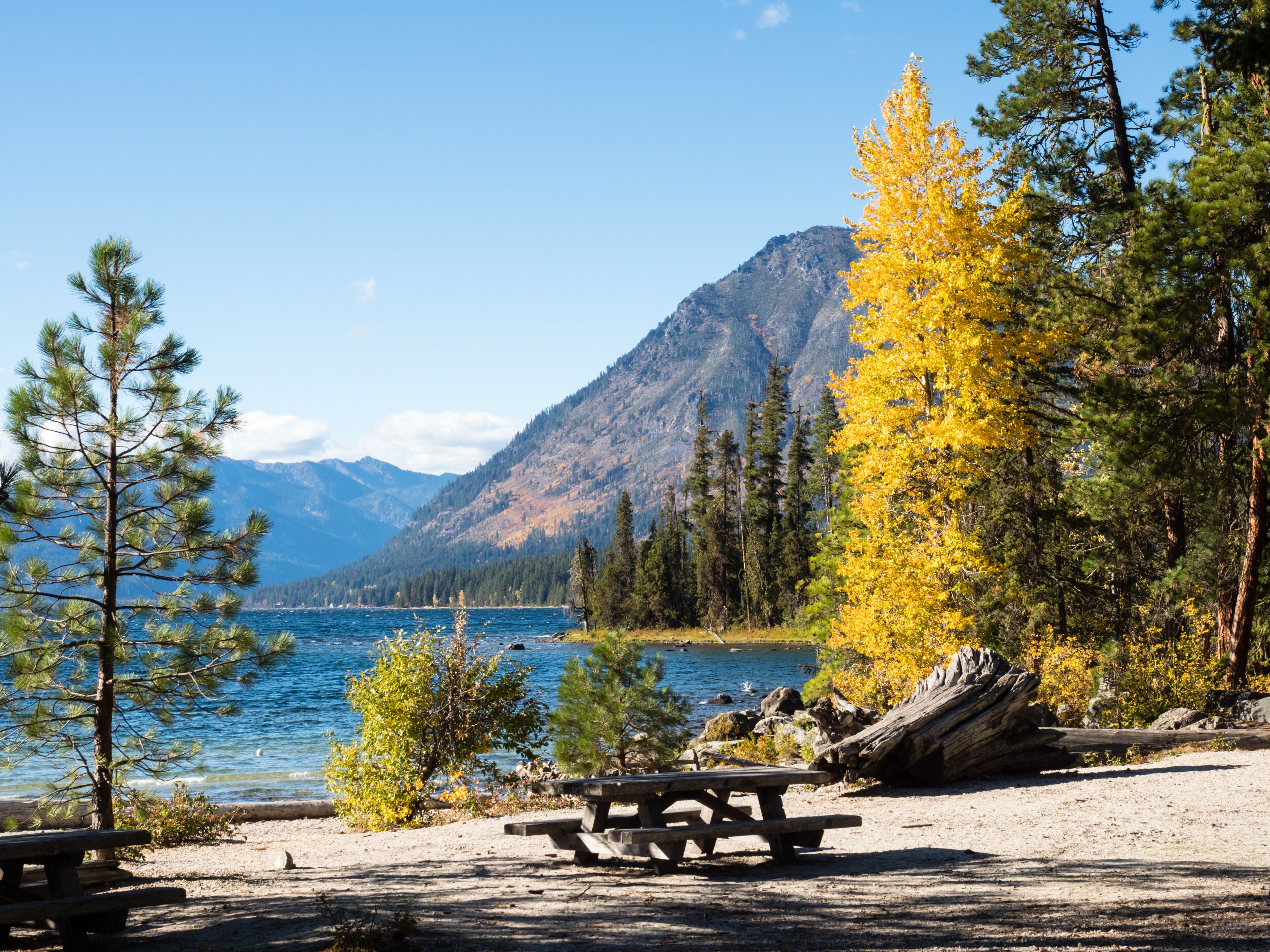 Fall foliage on the banks of Lake Wenatchee - Washington state, USA
