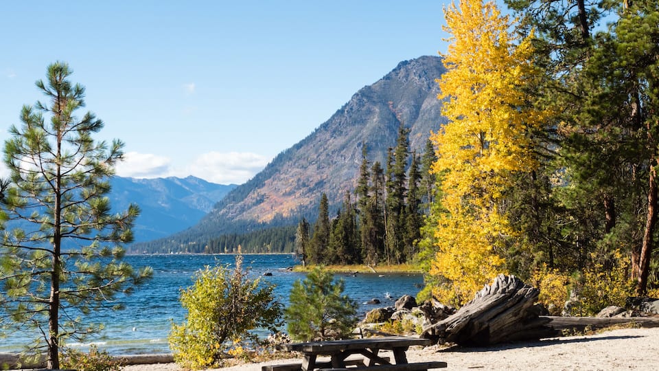 Fall foliage on the banks of Lake Wenatchee - Washington state, USA