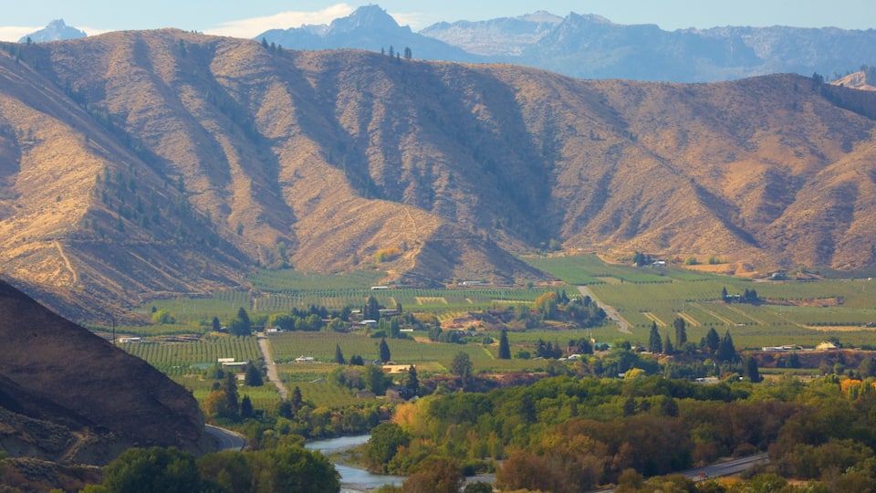 A mountainous landscape with vineyards and a river.