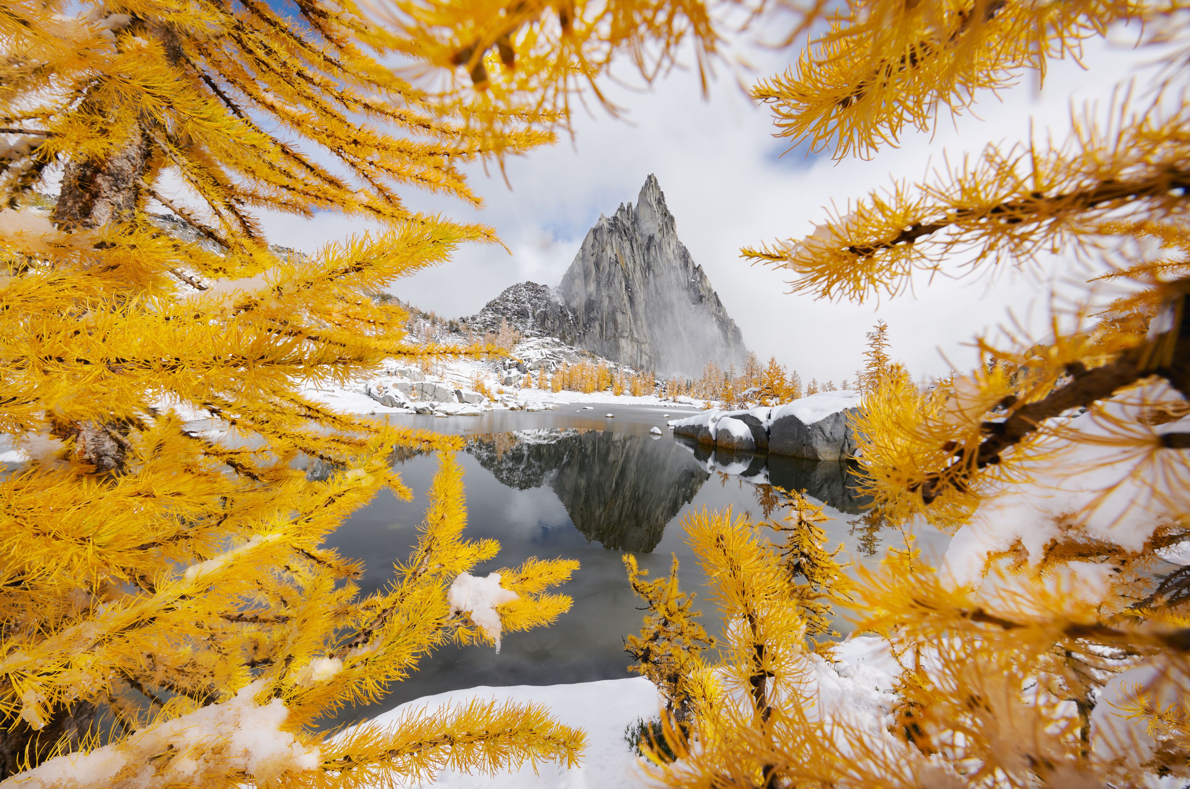 Un pico montañoso reflejado en un lago tranquilo, rodeado de árboles coníferos amarillos.