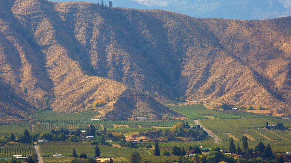 A mountainous landscape with vineyards and scattered buildings.