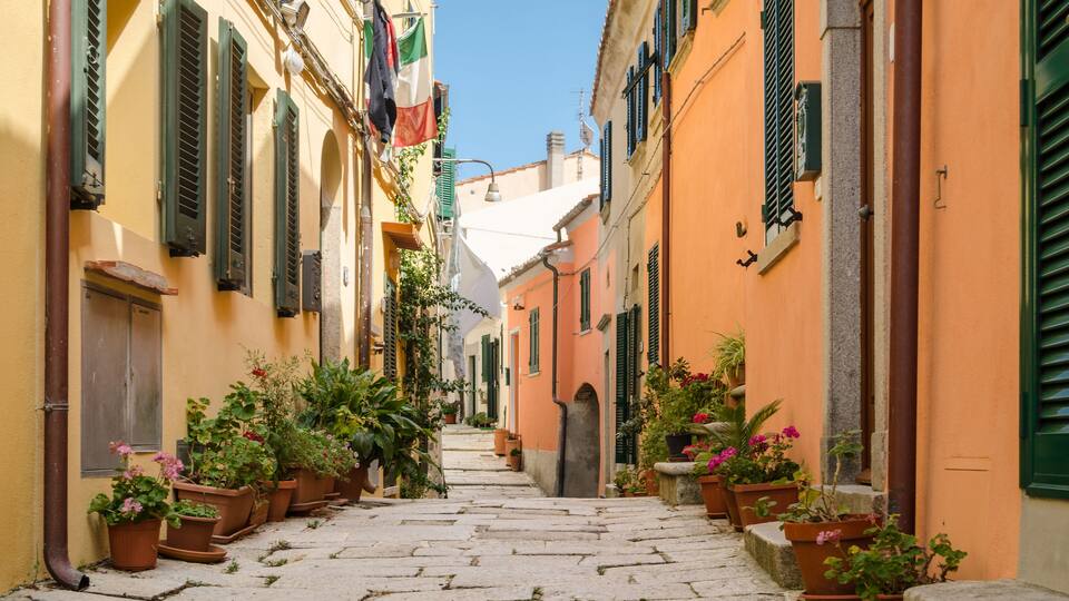 A narrow cobblestone street flanked by colorful buildings with shutters and potted plants.