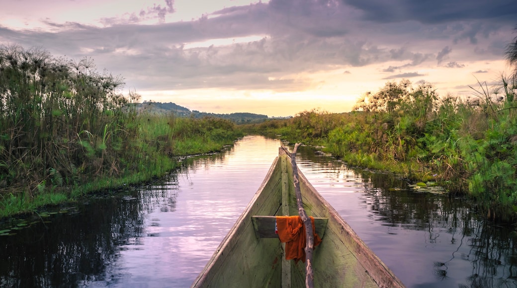 Sunset view of Mabamba Swamp from a little wooden fishing boat, Entebbe, Uganda, Africa