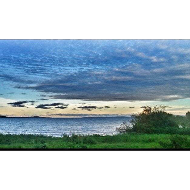This is a beautiful view of Lake Victoria from the Entebbe Wildlife Sanctuary