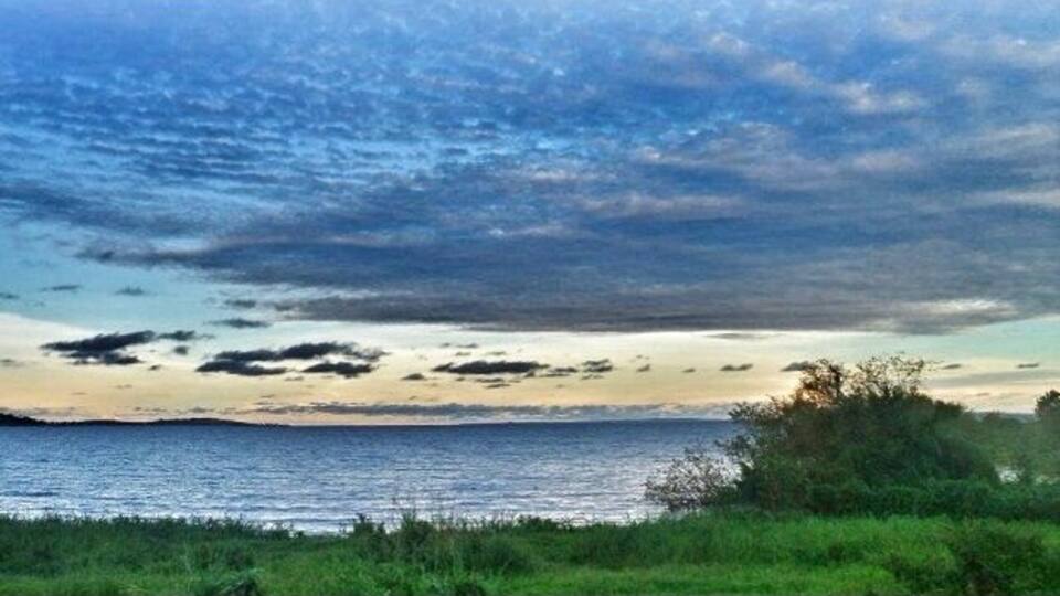 This is a beautiful view of Lake Victoria from the Entebbe Wildlife Sanctuary