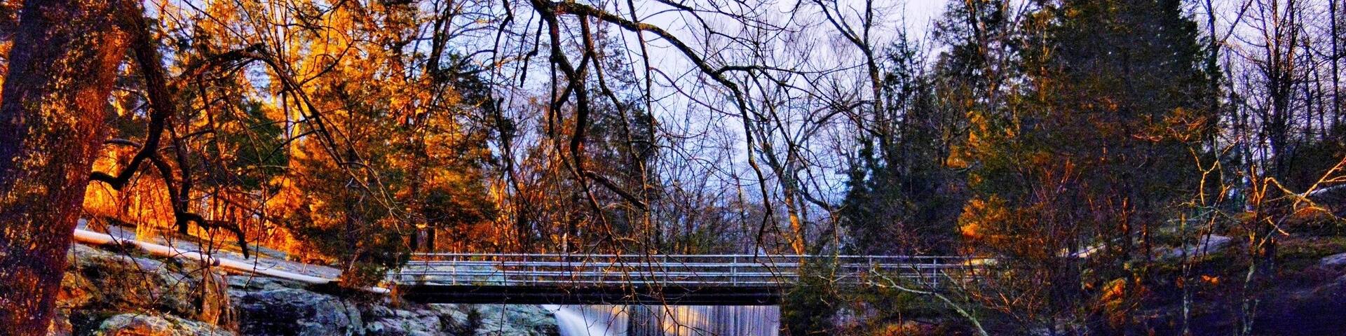 Dixon Springs in Dixon Springs State Park
Photo captured at 830pm. Long exposure- NikonD5200