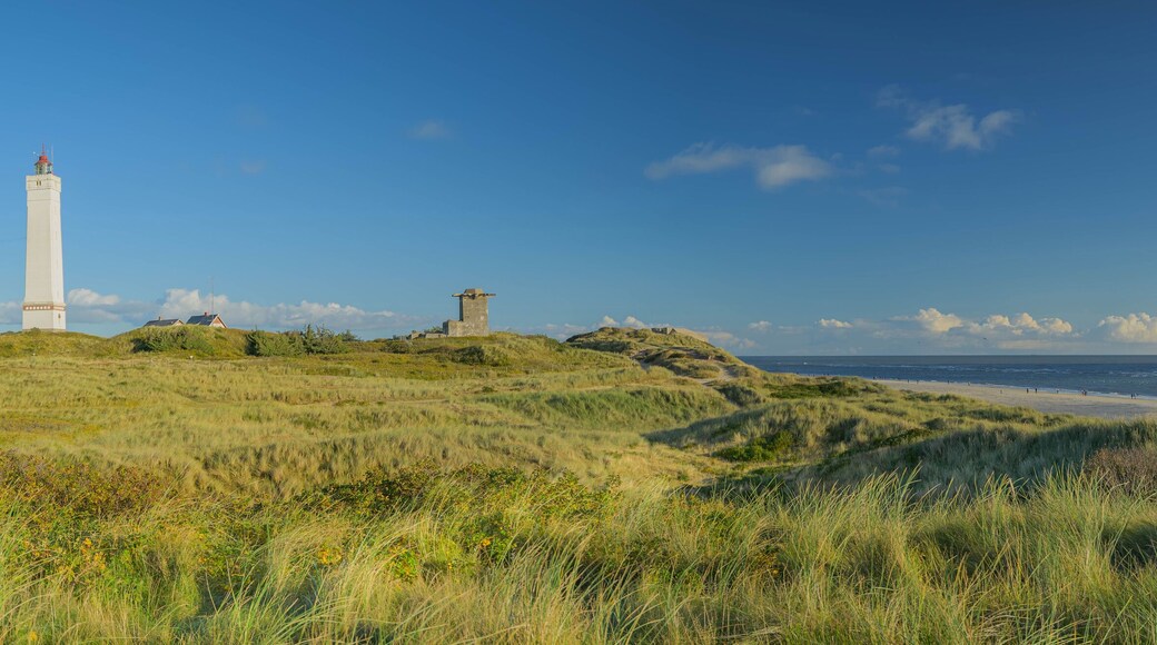 Panorama view of Blåvand lighthouse on wide dune of Blåvandshuk with beach view on the west coast of Jutland, by Esbjerg, Denmark.
