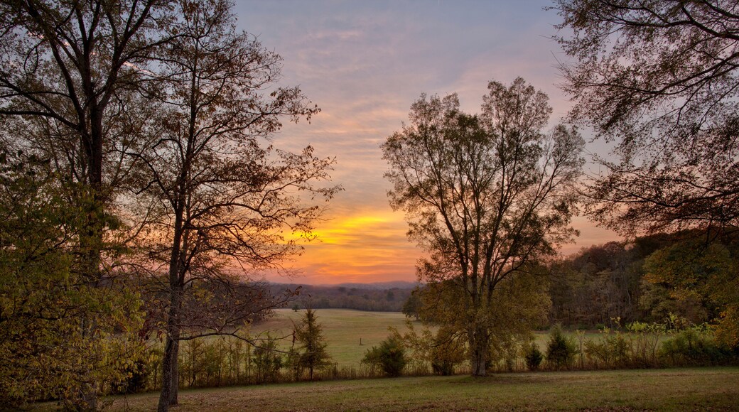 Natchez Trace Parkway, Tennessee and Mississippi, USA