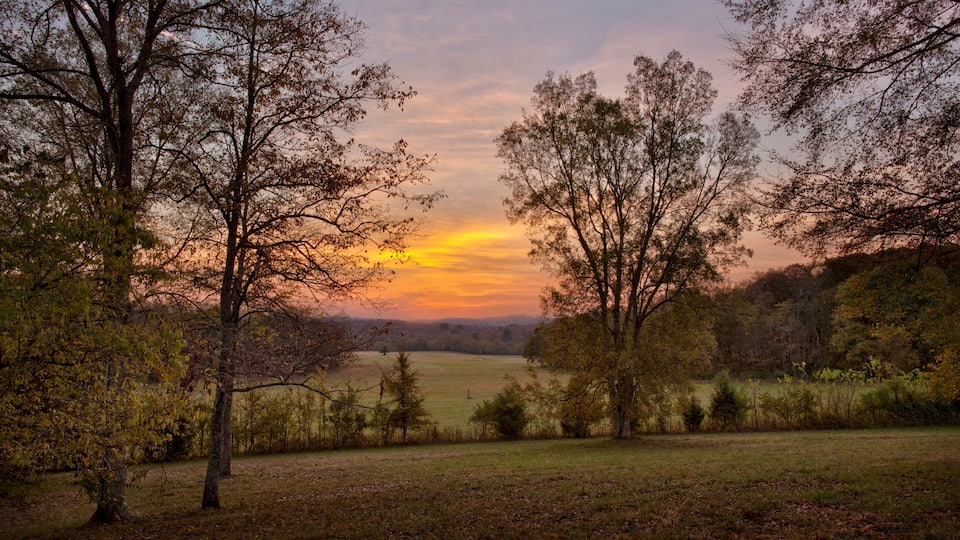 A sunset over a grassy field with trees and hills in the background.