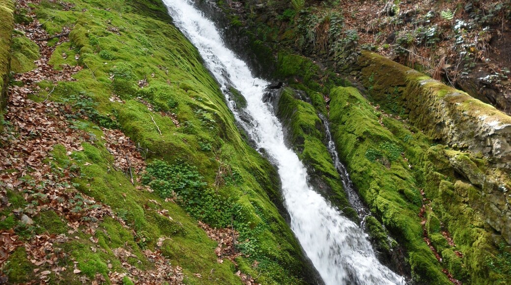 Water fall at la vie de Planfoy