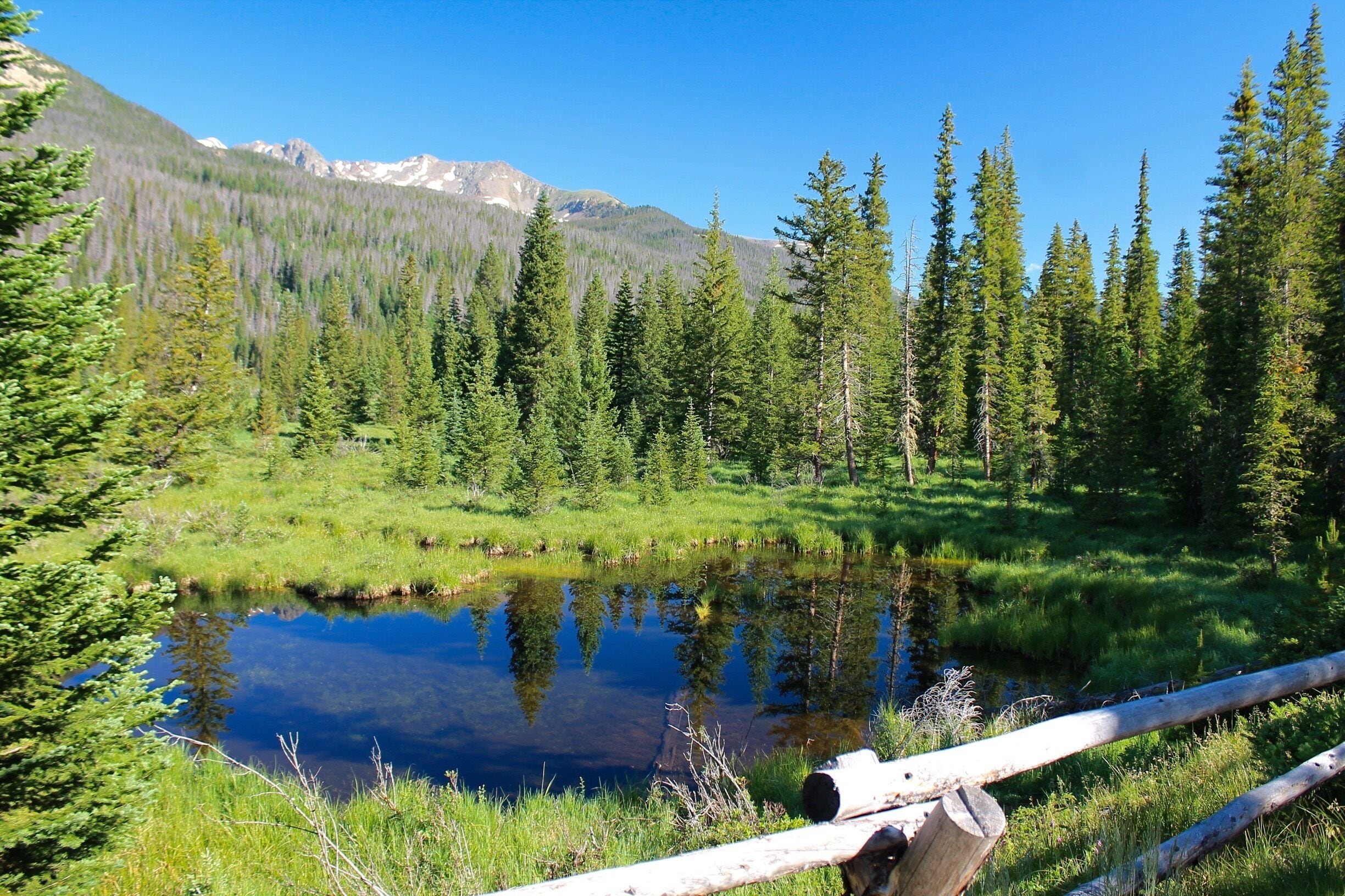  Kawuneeche Valley is on the west side of Rocky Mountain National Park, near Grand Lake, Colorado. This little lake is part of a large wetland area. You can't see him, but there is a young bull moose bedded down in the pines behind the lake.  #colorful #blue
 #EndlessSummer #Green #Reflections