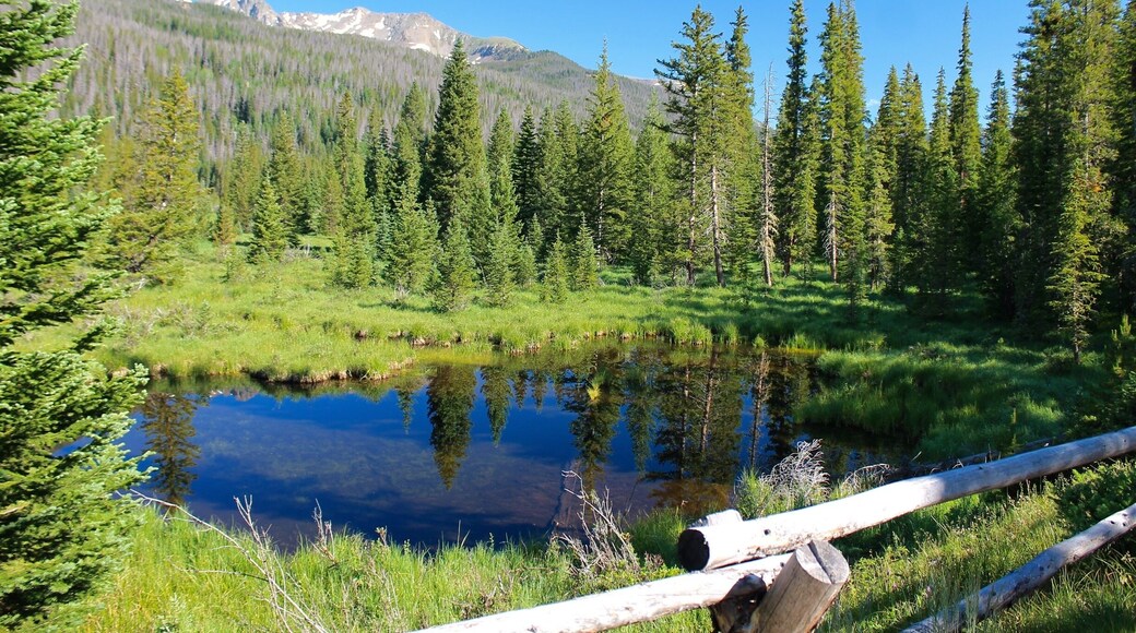 Kawuneeche Valley is on the west side of Rocky Mountain National Park, near Grand Lake, Colorado. This little lake is part of a large wetland area. You can't see him, but there is a young bull moose bedded down in the pines behind the lake. #colorful #blue
#EndlessSummer #Green #Reflections
