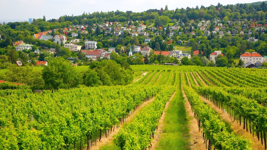Austria which includes a small town or village and farmland