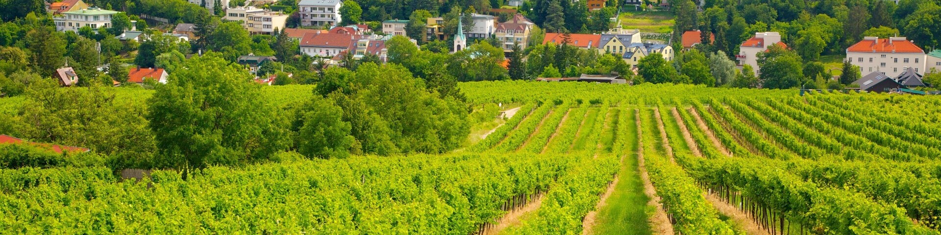 Áustria mostrando uma cidade pequena ou vila e fazenda