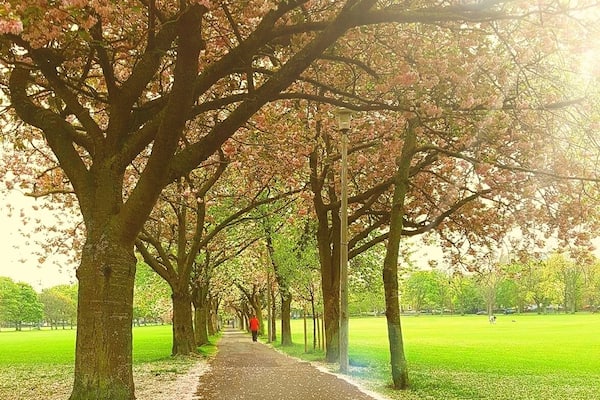 The Meadows is an area of common ground cultivated in to parkland for recreational use. Just south of Edinburgh city centre it is an ideal spot to escape the busy activity in the nearby streets. #springfun