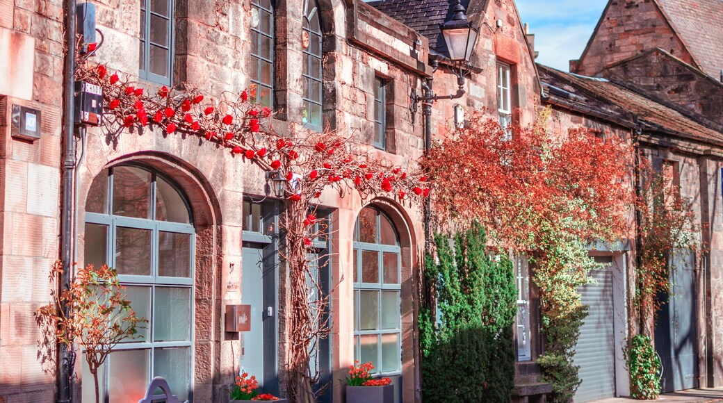 Early spring on Circus lane.