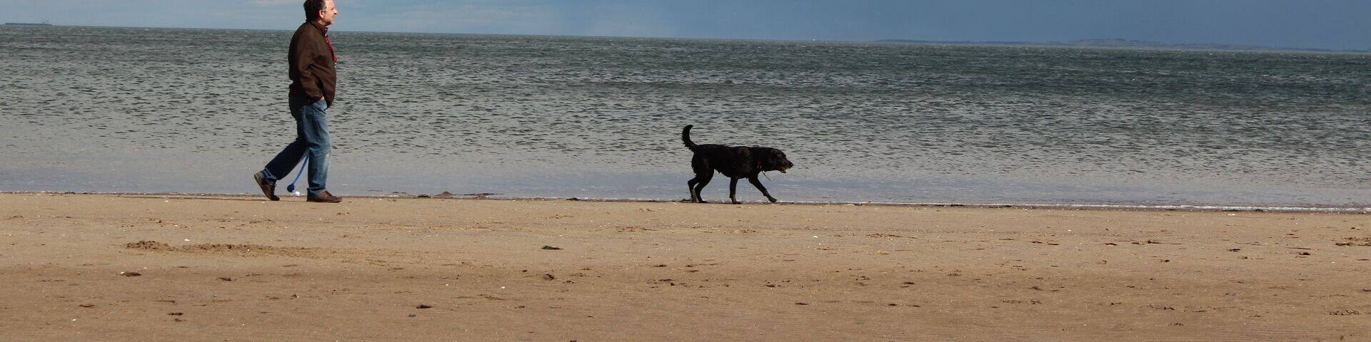 I went there on a Sunday and all the stores were closed. I just ended up walking along the shore in the British cold weather while the Scots get along with their weekend life. It was a cloudy day like any regular UK weather. #beach