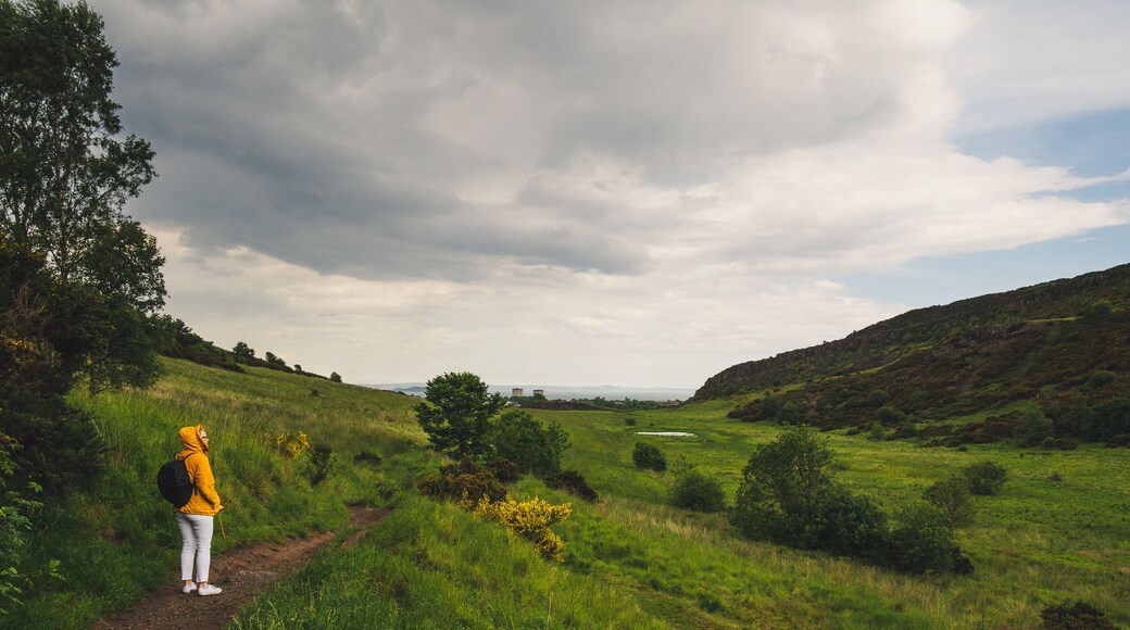 Holyrood Park is right in the city center of Edinburgh but it feels like being in the Highlands.
Check my YouTube channel (link in bio) to see my first Scotland video.
#nature