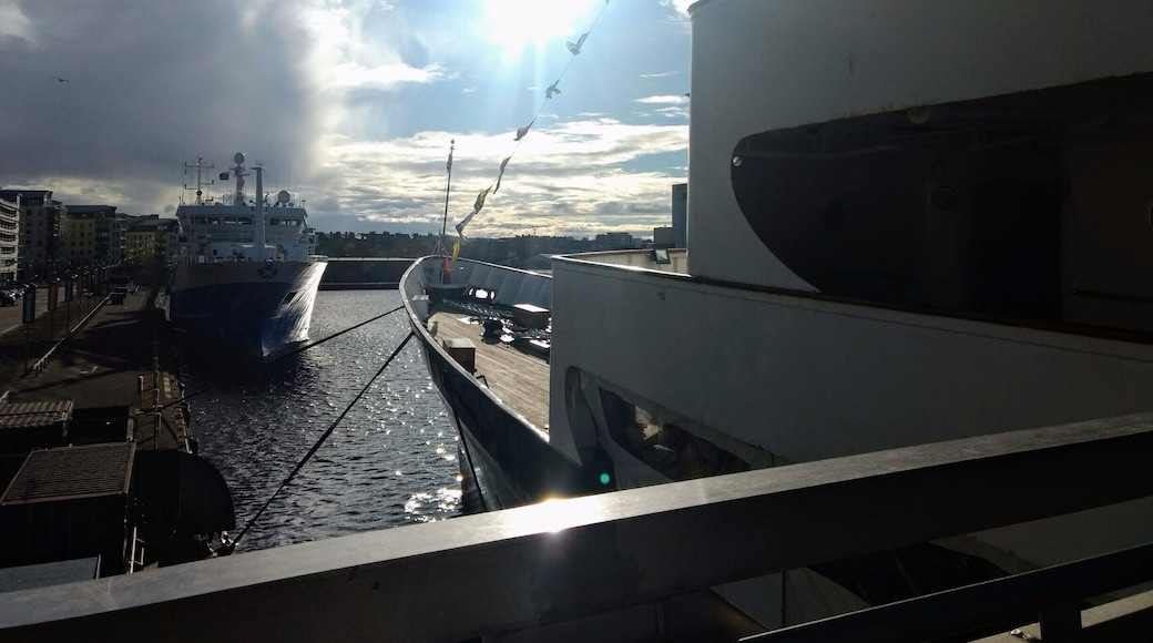 #lifeatexpedia
Looks like nature feels so proud holding ,calmly and peacefully, the weight of the royal fleet. Experiencing the Royal Grandeur!